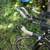 Quintanana Roo kilo Roed Bike 3 thumbnail