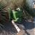 Yard art 6 thumbnail
