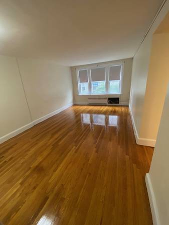$3,250 / 2br - 850ft2 - two full baths: quiet sunny rooms inc. Heat+HW steps to trolley+shops. (Brookline -  Between Washington Square + Coolidge Corner)63856552674435122