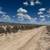 10 ACRES E-1540-0006-0000 **Pending** 5 thumbnail