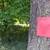 Landscaping services 4 thumbnail