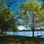 190 Sawmill Lane New Richmond Wisconsin 15 thumbnail