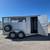 2026 Calico 3-Horse 16x6x7 BP Horse Trailer 9 thumbnail