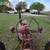 1950 Farmall H with added 3 point hitch 8 thumbnail