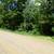 Prime Hunting Property and Cabin 19 thumbnail