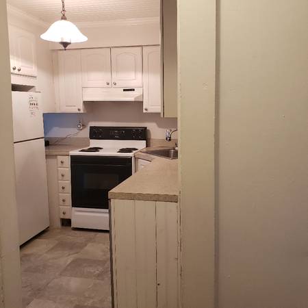 $2350.00 / 2br - 908ft2 - Sunny Craftsman cottage63667080609793121
