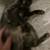 Cute black and biege kitten 13 thumbnail