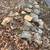FREE ROCKS FOR THE PICKING AND TAKING 2 thumbnail
