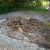 STUMP GRINDING & Surface Roots Removal by Brad Frederick's LLC 19 thumbnail