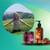 Sweet Shroom – Matcha & Mushroom Wellness Brand 14 thumbnail