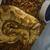 ball python 1 thumbnail