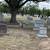Fair mount Cemetery plot 1 thumbnail