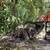 Home Care 360 3 thumbnail