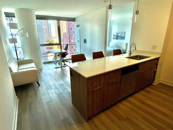 $2,542 / 618 pies² - Convertible amueblado con vistas al río para subarriendo (River North)