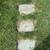 Lawn Mowing ☮️🕊️🌱🍃🌿 Prosperity Services 15 thumbnail