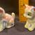 5 set of vintage salt & pepper shakers Japan (A) 8 thumbnail