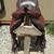 Trail saddles 5 thumbnail