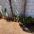 Garden signs,Plants, Outside decorations 3 thumbnail