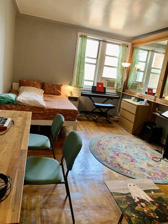 Brooklyn Studio Apartment sublet (Feb 16- March 2) 1