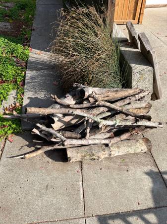 Free Firewood Seasoned 4 months 1