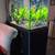 Complete 65-Gallon Custom Freshwater Aquarium Setup - Vibrant & Well-E 3 thumbnail