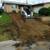 Concrete work/driveway 12 thumbnail