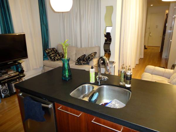 $3,895 / 1br - 700ft2 - 3795 By Owner, Luxury Jr 1 Bedroom, Rooftop, Washer/Dryer, >700 ft (Financial District)63874850623619124