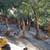 Amazing Home 2 Share - Spirit Rock/Treehouse Energy 6 thumbnail