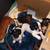 Mini Dachshunds 14 thumbnail