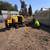 Stump Grinding 1 thumbnail