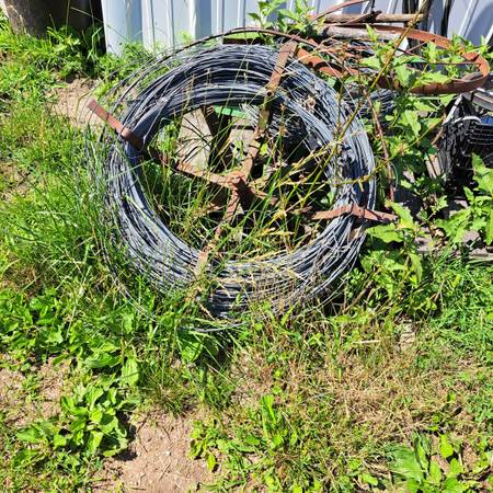 You Can't Straddle the Fence(中古品) springfield for sale 