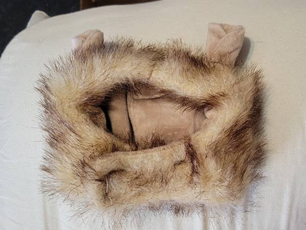 Small Lion costume for dogs 1