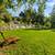 Live Among the trees in the Santa Cruz Mountains at Lupin Lodge 12 thumbnail