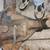 MoPar 8 3/4 3.23 Posi, 3.73 Posi, 1969 B-Body Dana 60 Axle Assembly 2 thumbnail