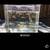 Platy fish or guppy fish trade not sell 2 thumbnail