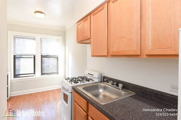 $1,320 / 400ft2 - Dynamite Studio, 1 Bath in Ravenswood, Available: 11/1/2025 (Ravenswood)63899122989698124