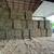 1st Cutting Orchard Grass Square Bales 2 thumbnail