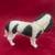 Cavilier King Charles Spaniel Black/White by Conversation Concepts 3 thumbnail