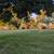 2 BD w/ yard, across from park, pet friendly, washer/dryer in unit 13 thumbnail
