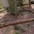 Tree service and Yard clean ups at the BEST price! Monthly specials!!! 12 thumbnail