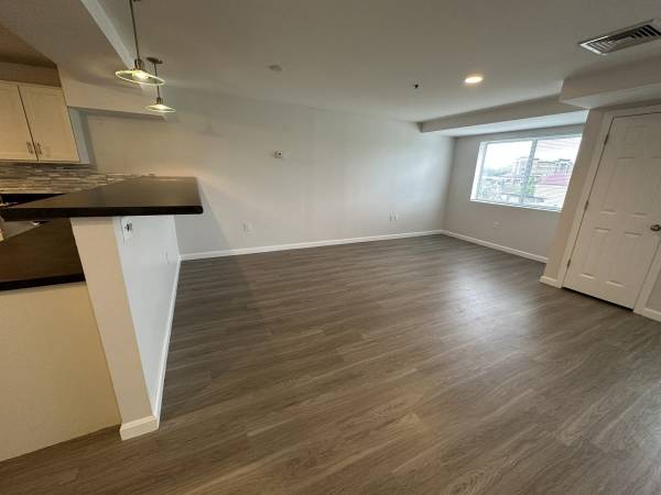 Open Floor Plan, Additional Storage, Plank Flooring 1