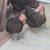 3 black chickens layers 1 thumbnail
