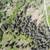 Price Reduction - Undeveloped view lot centered on the Kenai Peninsula 5 thumbnail