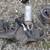 Pontiac Firebird Trans Am Parts Early 70s to late 70s parts LOOK!! 13 thumbnail