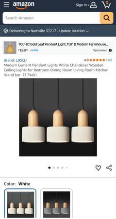 Pendant Light Fixture 1
