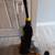 Carpet cleaner 3 thumbnail