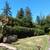 ☘️YARD CLEANUP & GARDENING 1 thumbnail