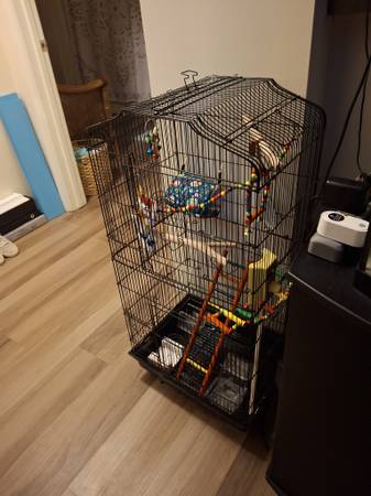 Large bird  cage (Franklin)63871359015937120
