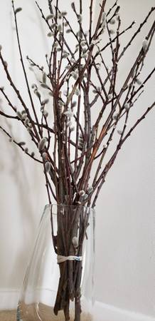 Sold Out - Pussy Willow Bouquets (8-10 branches) 1