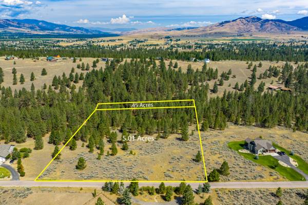 $289,000 / 237838ft2 - Two Parcel treed 5.46 acres with views of the bitterroot (Florence)63656993996929120